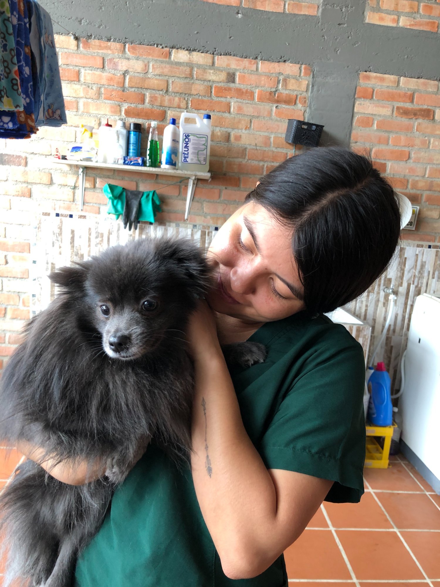 Mascota feliz en La Veterinaria